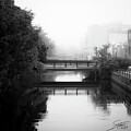 Foggy Morning on the River