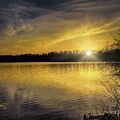Golden Boardman Sunset