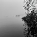 Lone Tree On Boardman Lake in Black and White